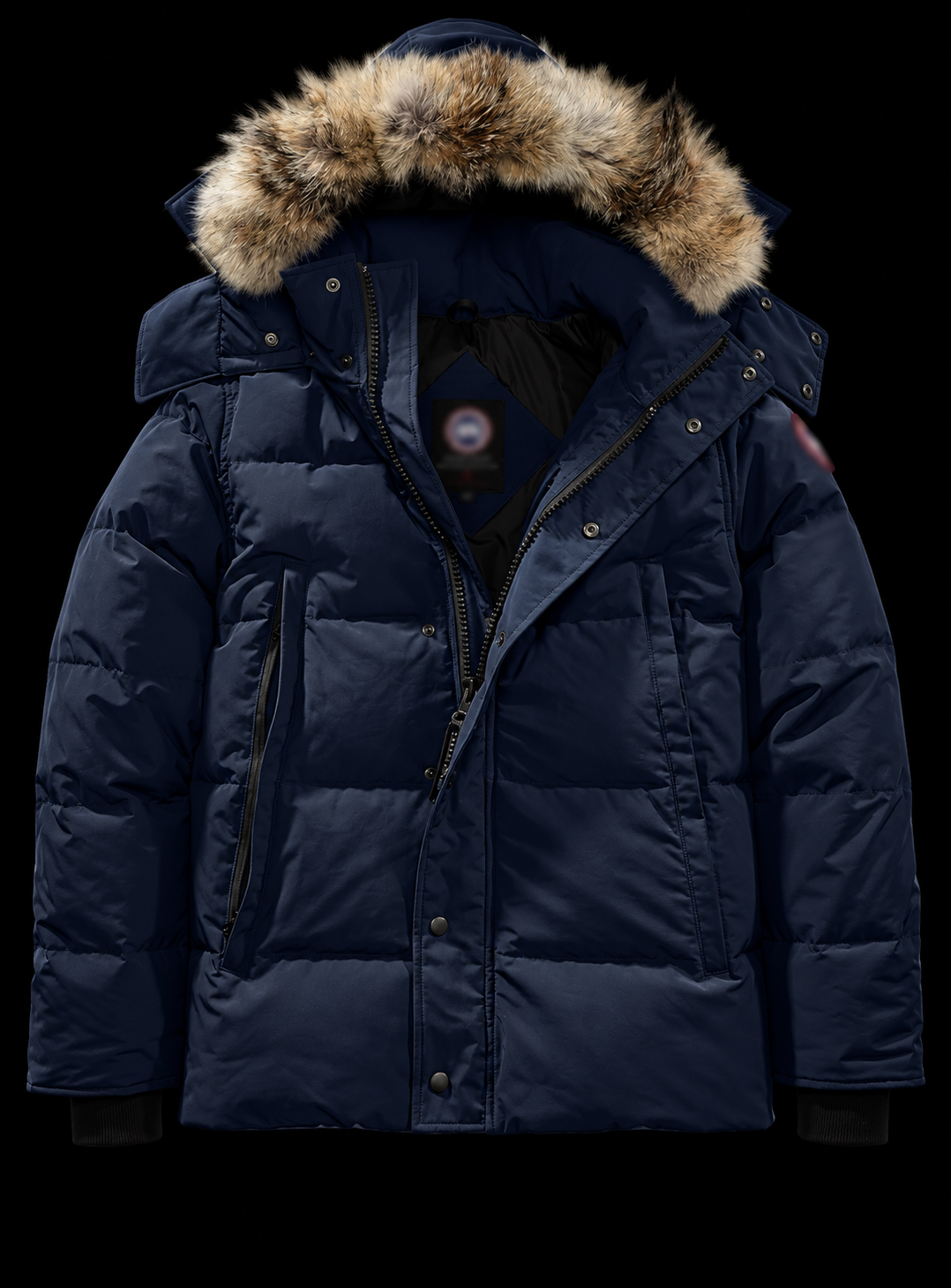 CAN4D4 G00SE PUFFER